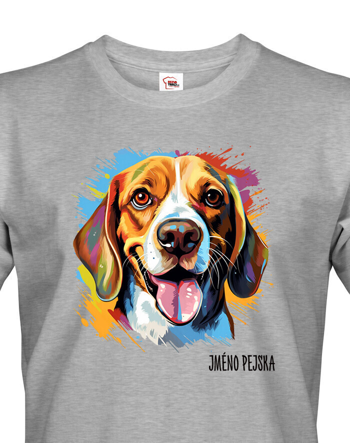 Pánské tričko Bígel