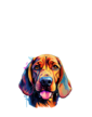 Dámské tričko Bloodhound