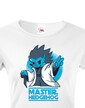 Dámské tričko Master hedgehog