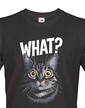 Pánske tričko What suprised cat