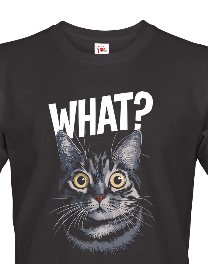 Pánske tričko What suprised cat