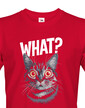 Pánske tričko What suprised cat