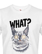 Pánske tričko What suprised cat