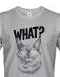 Pánske tričko What suprised cat
