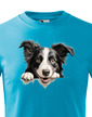 Dětské tričko Border kolie