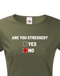 Dámske tričko Are you stressed?