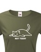 Dámske tričko s mačkou Not today
