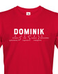 Pánské tričko k meninám Dominik