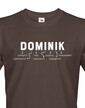 Pánské tričko k meninám Dominik