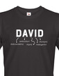 Pánské tričko k meninám David