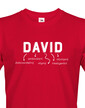Pánské tričko k meninám David