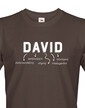 Pánské tričko k meninám David