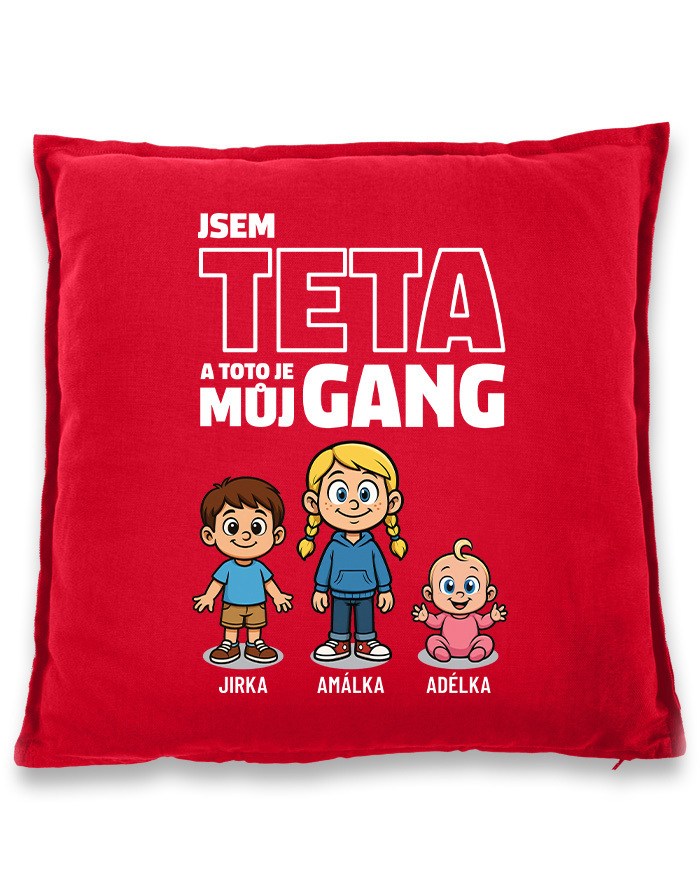 Vankúš Som teta a toto je moj gang