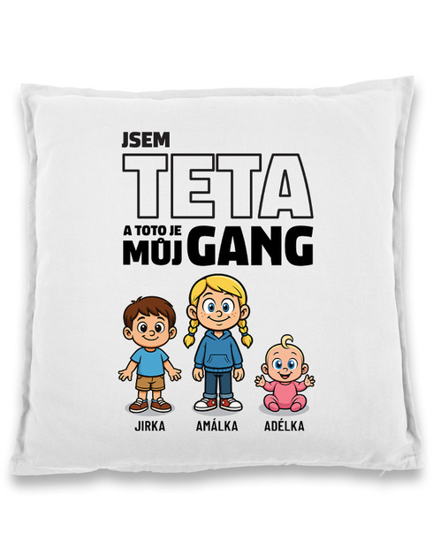 Vankúš Som teta a toto je moj gang